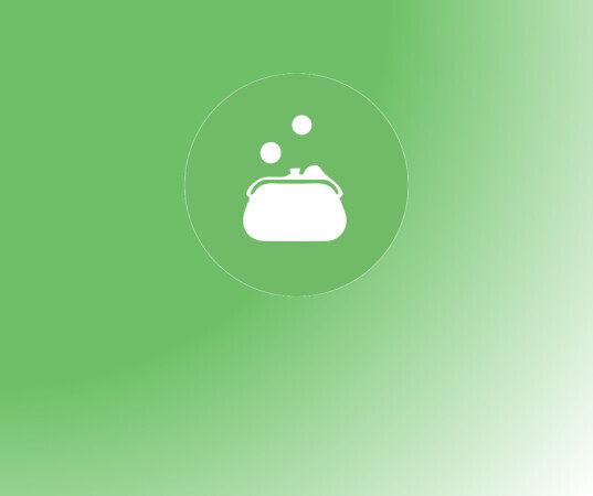 Kascontrole (Financial Audit)