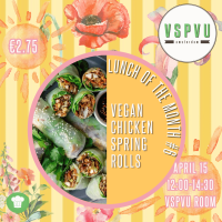 Lunch of the Month #6: Vegan Chicken Spring Rolls